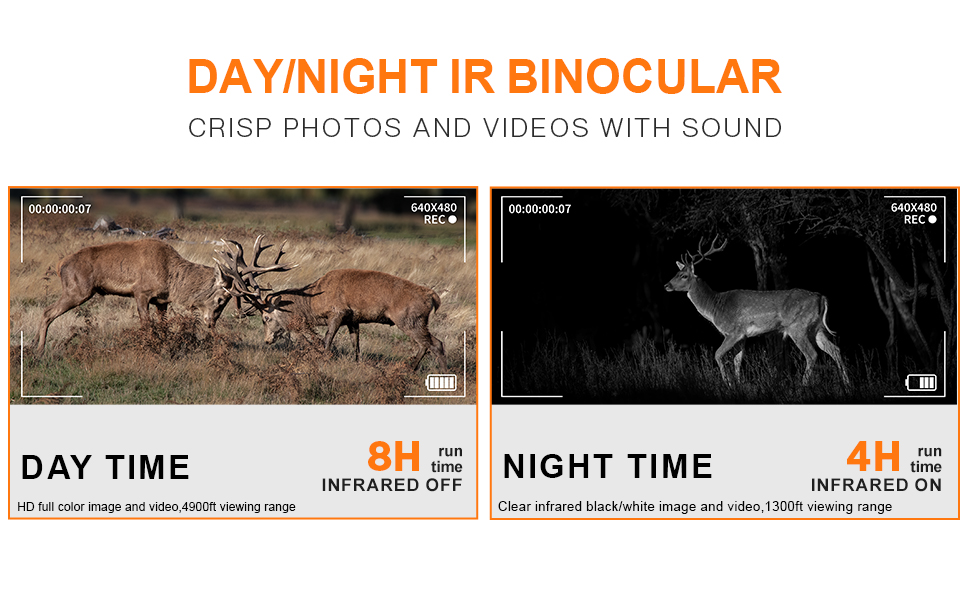 Day Night Vision