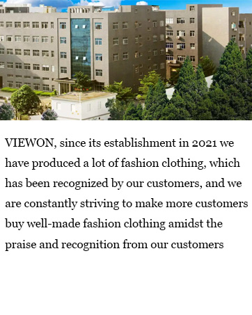 viewon since its establishment in 2021