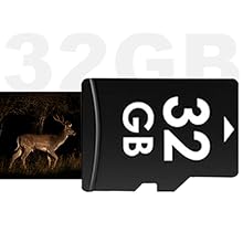 32GB SD card