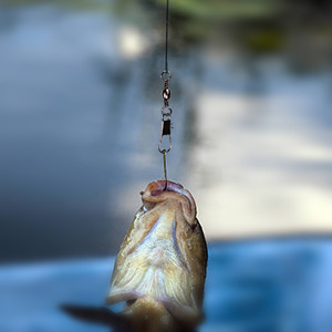fishing gear and equipment fishing accessories snap swivels fishing lure kit lures for freshwater